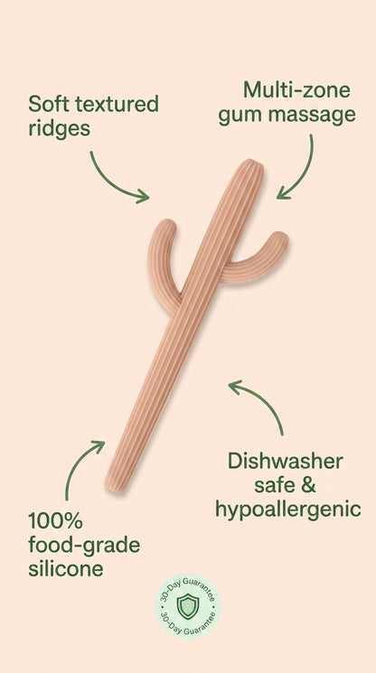 Cactus silicone teether for babies BPA free soothing toy.